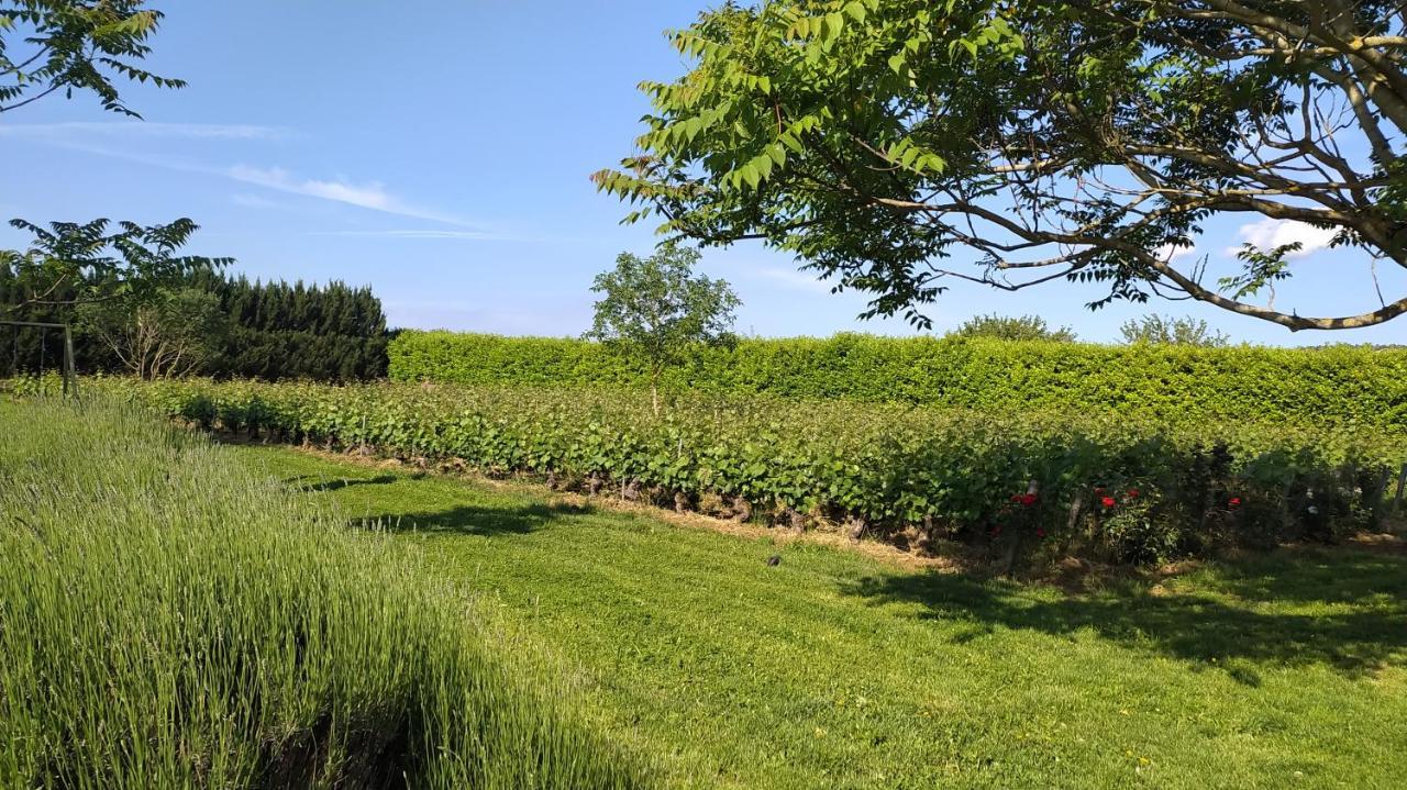 Clos Des Chenevieres, 3 Etoiles Comblanchien Eksteriør billede